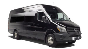 NYC executive sprinter van service with private chauffeur providing 14 passenger luxury group transportation