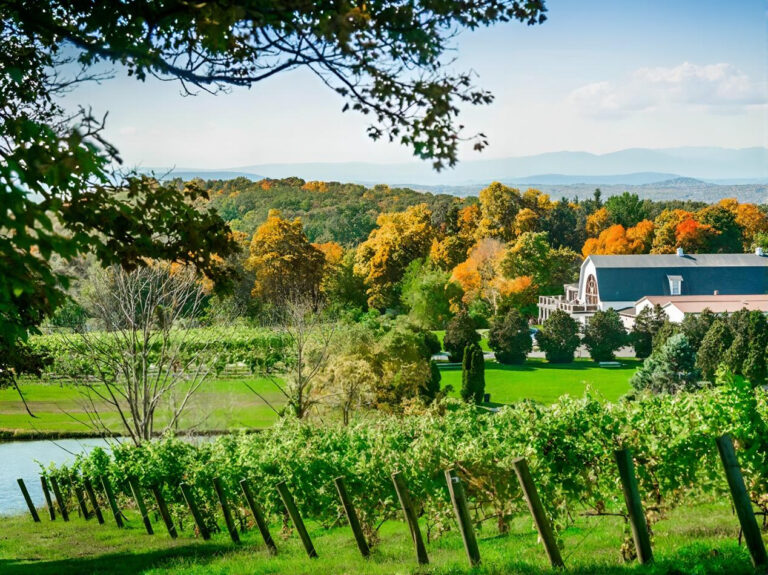 Winery estate and vineyard in Westchester and Hudson Valley during a private chauffeur wine tasting tour