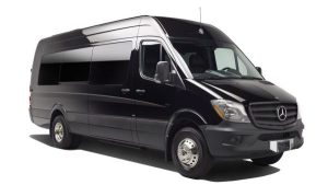 NYC 18-passenger party bus limo van with private chauffeur for luxury group events and celebrations