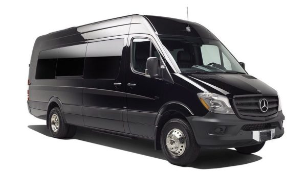 NYC 18-passenger party bus limo van with private chauffeur for luxury group events and celebrations