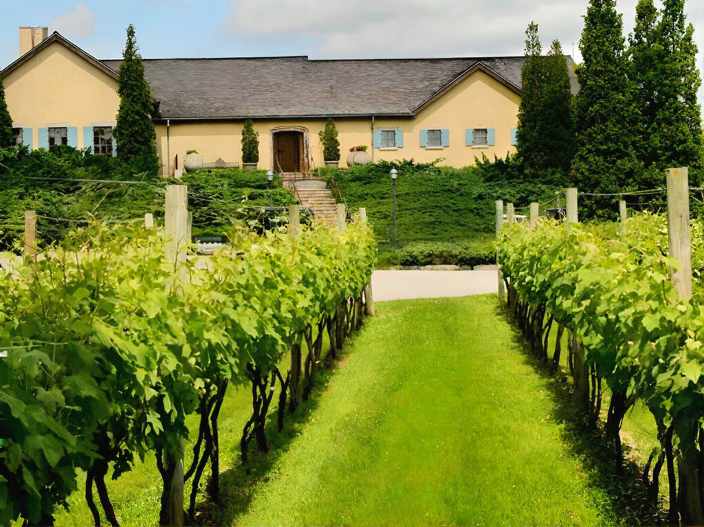 View of a winery house from a vineyard alley on the North Shore of Long Island during a private chauffeured wine tour.