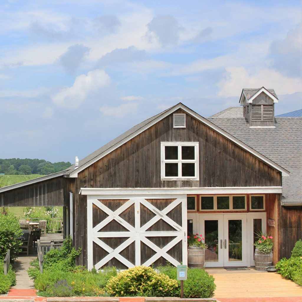 House, barn, and vineyard views at Paumanok Vineyards on the North Fork of Long Island during a private chauffeured wine tour.